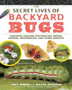 Discovering Your Backyard Bugs Image